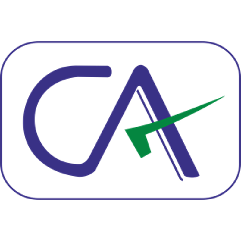 Chartered Accountant